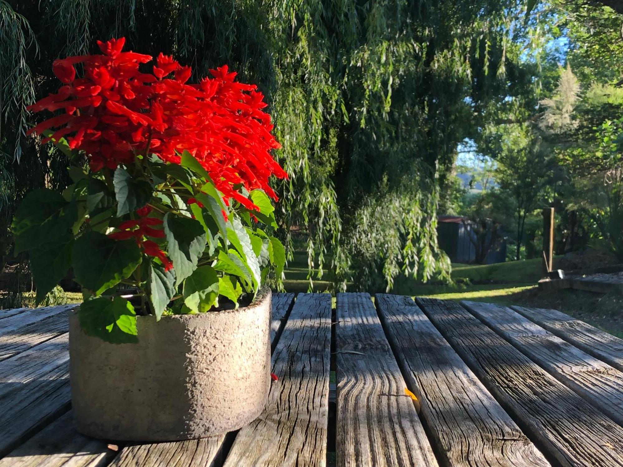 Villetta - Matakana Boutique Luxury Accommodation Екстериор снимка