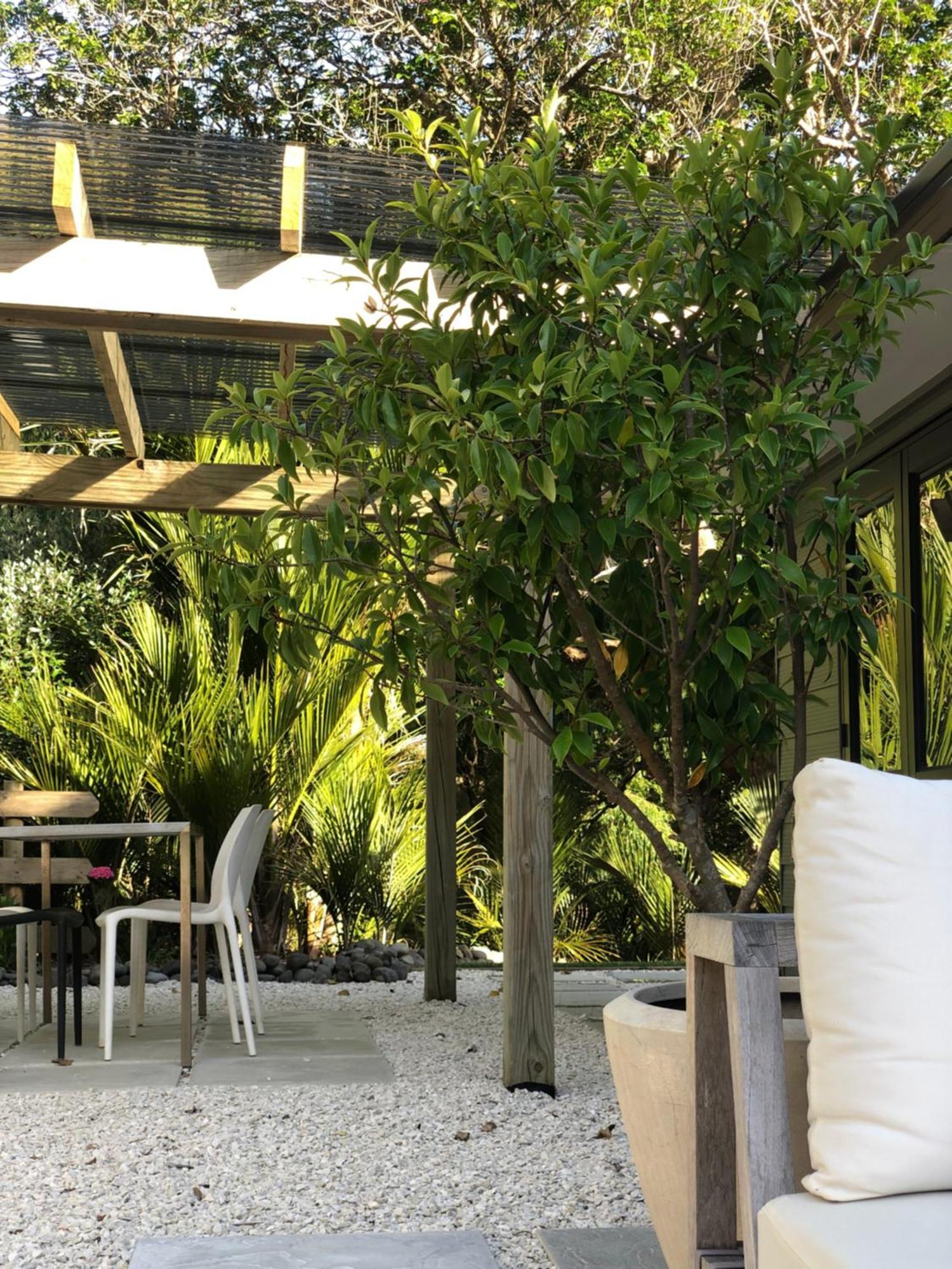 Villetta - Matakana Boutique Luxury Accommodation Екстериор снимка