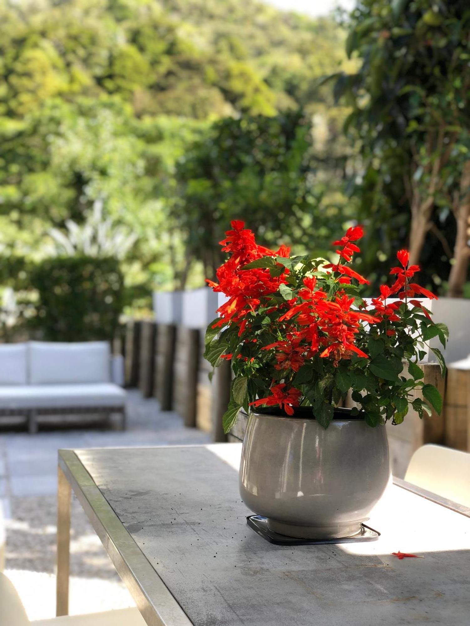 Villetta - Matakana Boutique Luxury Accommodation Екстериор снимка